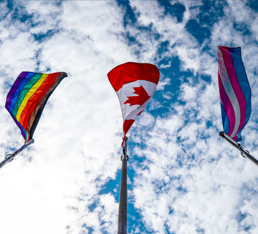 The rainbow pride flag, the maple leaf Canadian flag, and the striped trans flag, all flying from flagpoles on a sunny day.