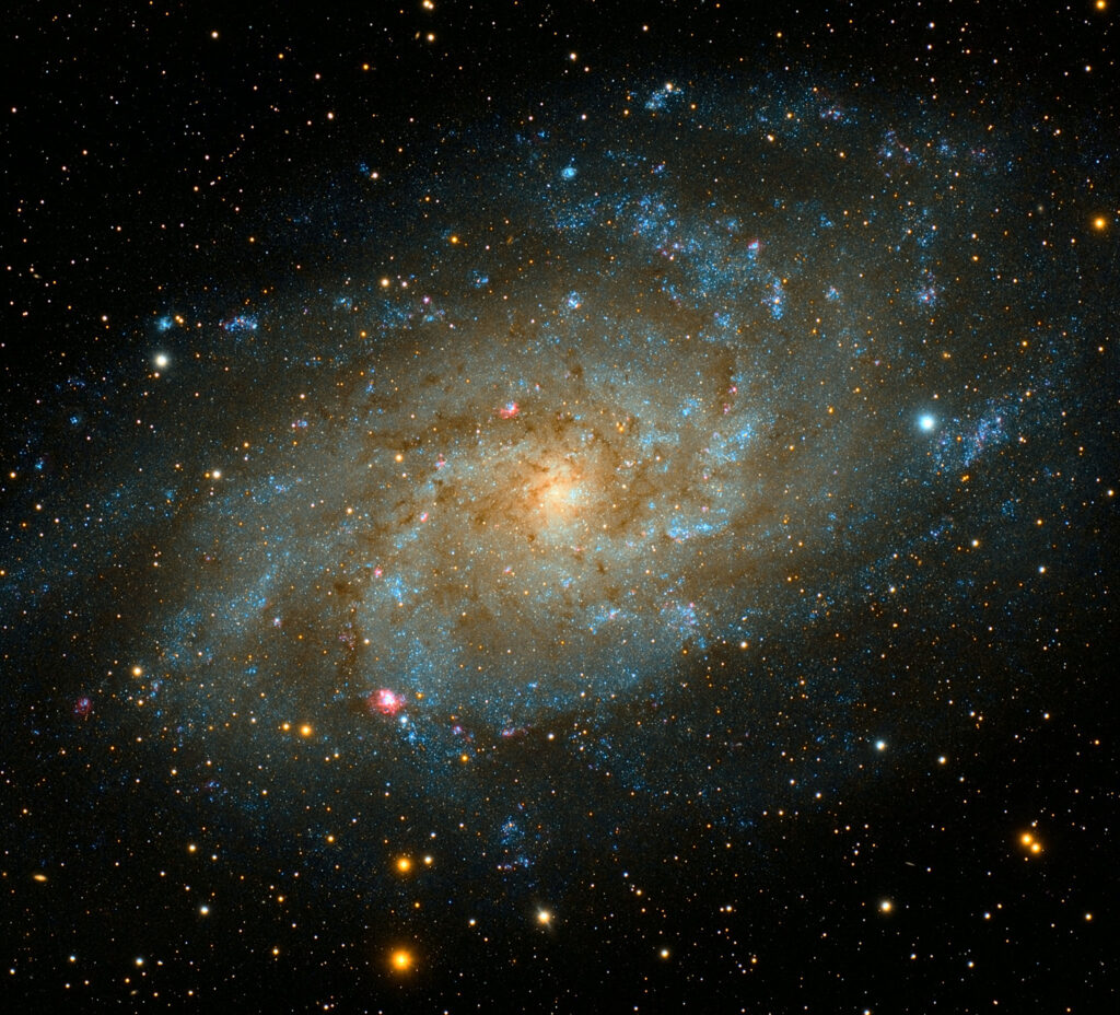 A galaxy: a swirl of stars in different colours, with a bright glowing centre.