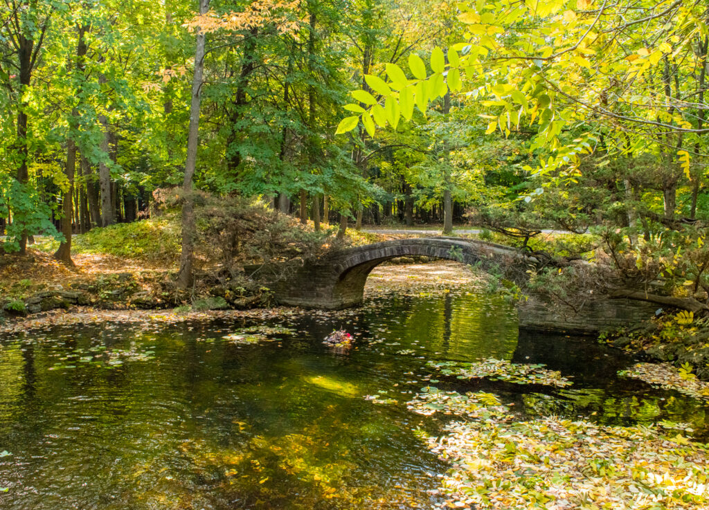 Leaves dapple Wilson Pond at U of T Mississauga, floating in front of an arched stone bridge.