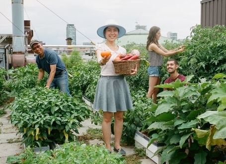 Students smile as they stand among plants in a rooftop garden, overlooking a city. One woman holds a basket of vegetables.