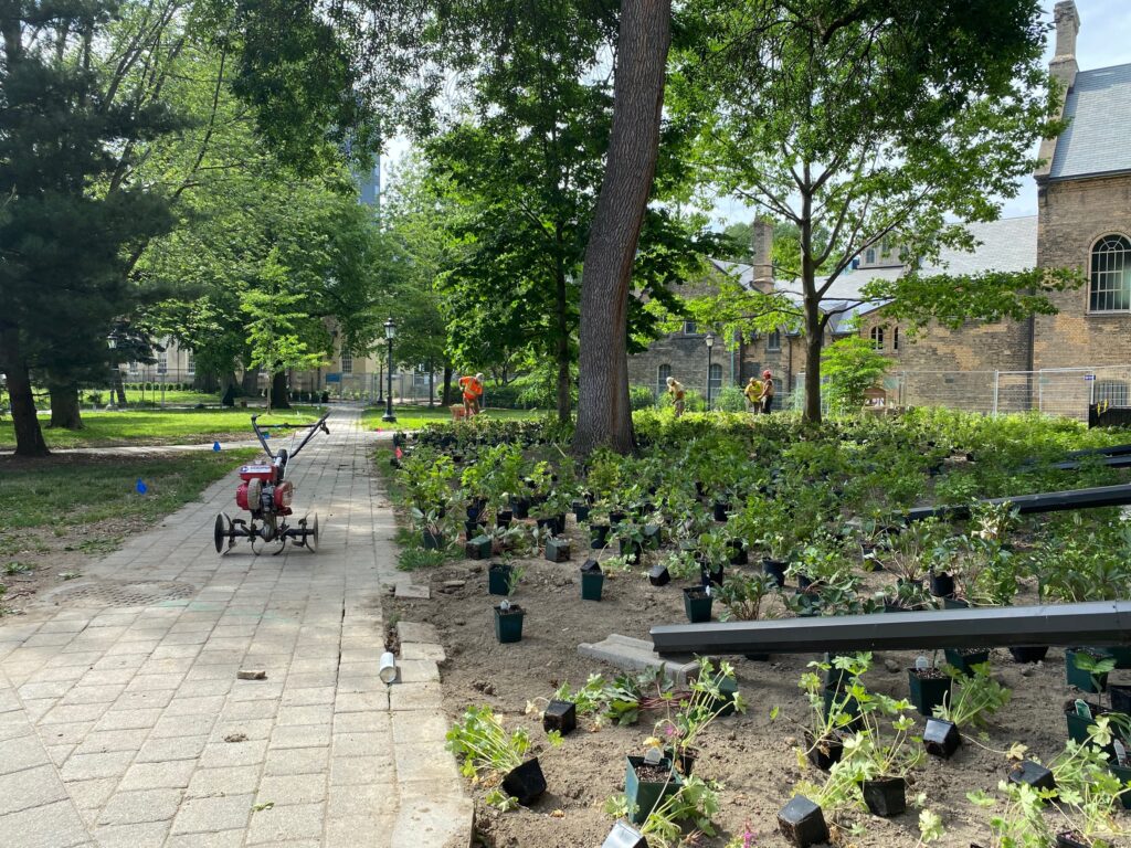 A large flower bed, under trees, is covered with plants in pots, waiting to be transplanted. Workers dig in the background.