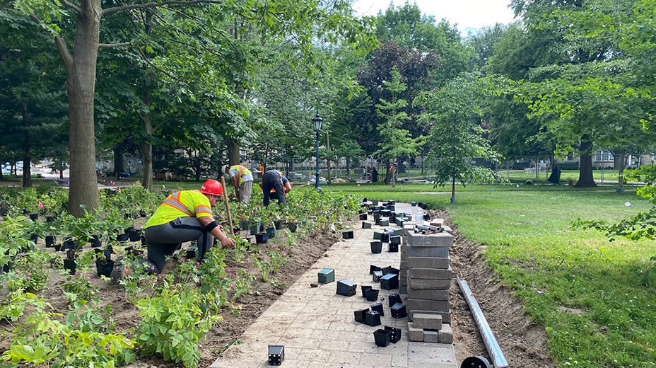 Workers kneel on a flower bed transplanting plants out of pots. Beside them is a partially built pathway and pile of stones.
