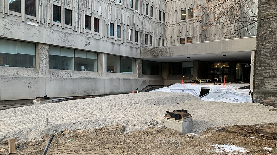 A graded ramp of earth slopes up from Queen’s Park to the Medical Sciences Building entrance.