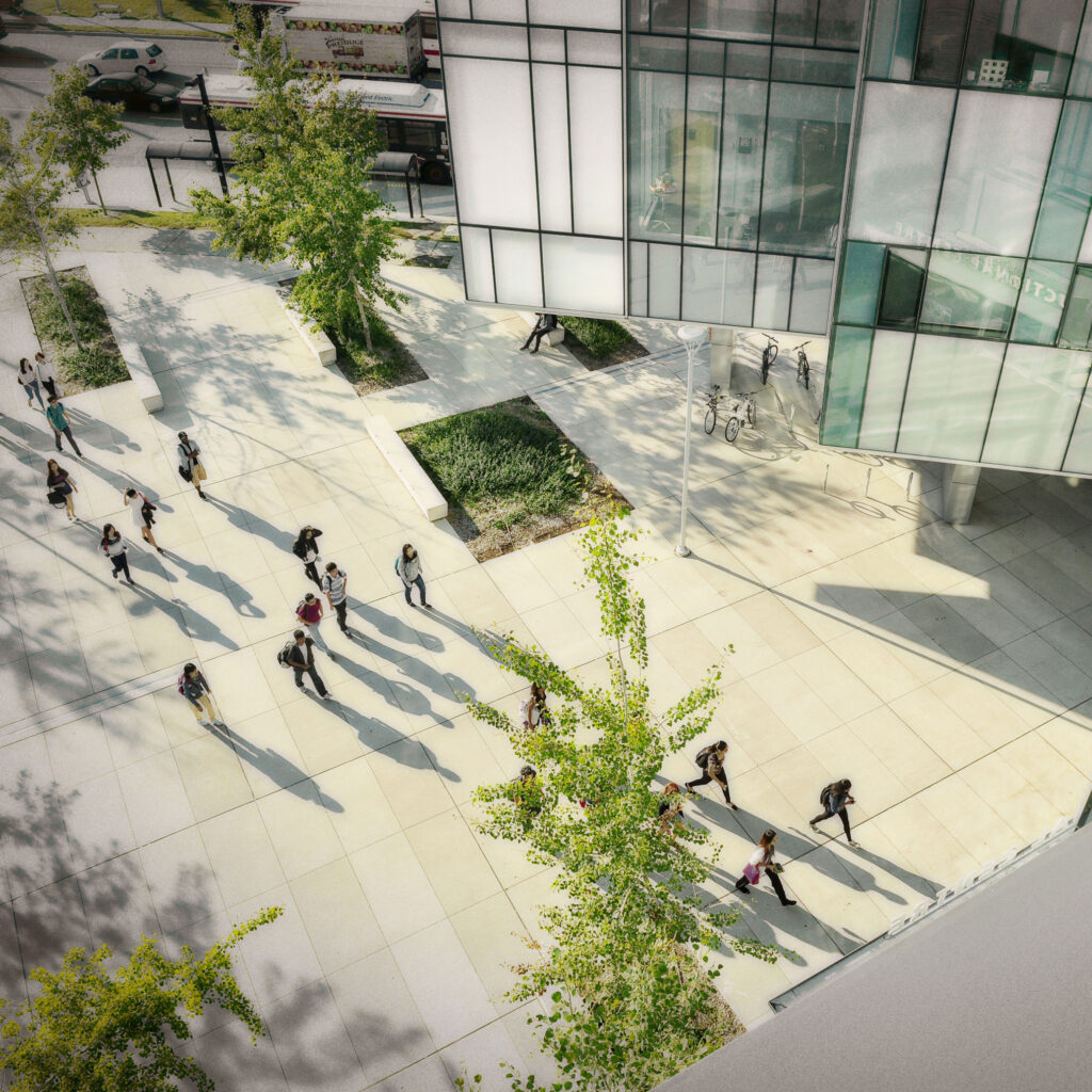 In morning sunlight, shadows stretch tall as students walk into the instructional building at U of T Scarborough.