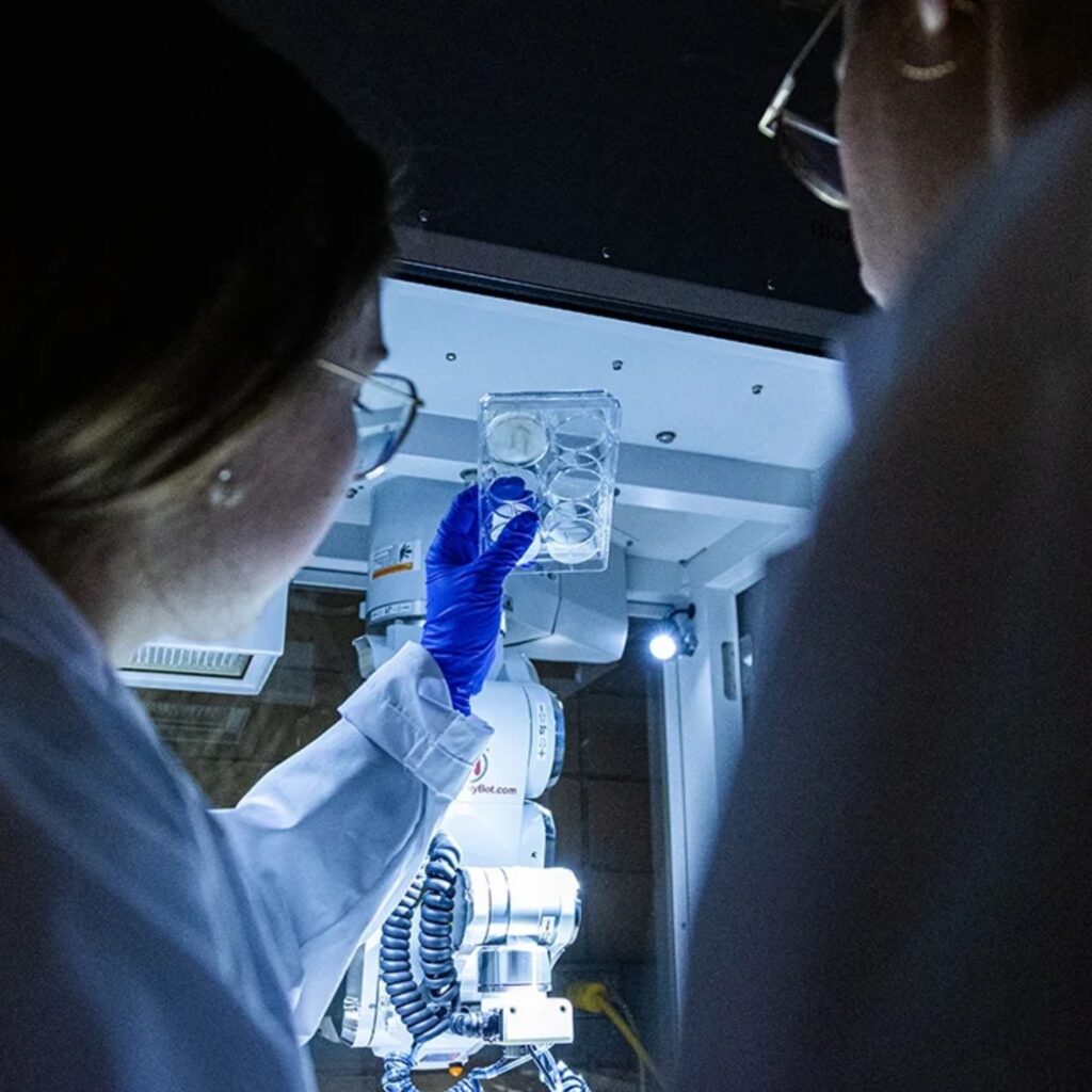 Two scientists in a lab shown from the back