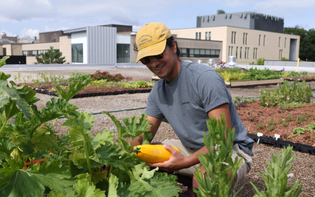 A man in a garden holding a yellow vegetable