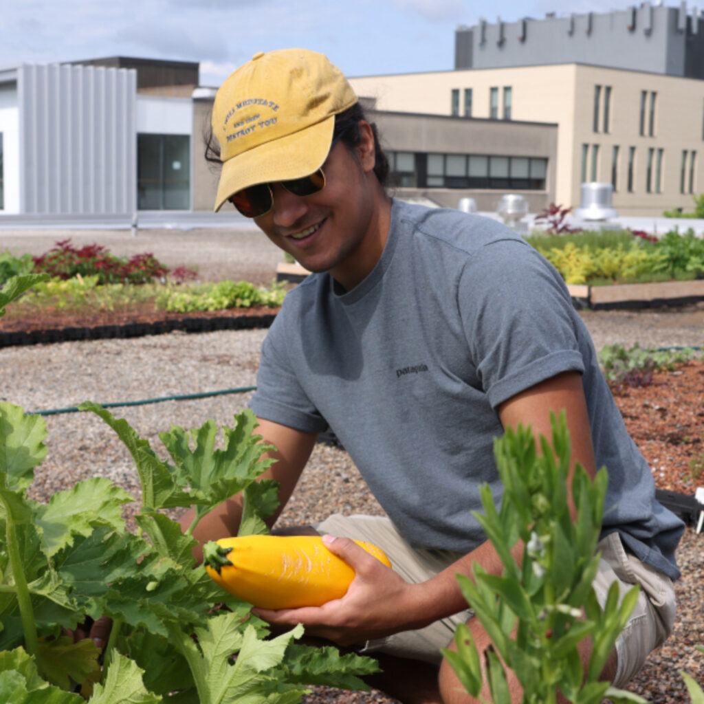 A man in a garden holding a yellow vegetable