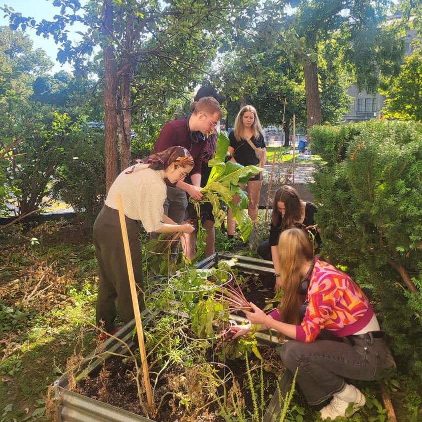 a group of students gardening